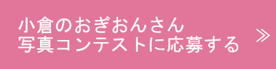 写真コンテスに応募する